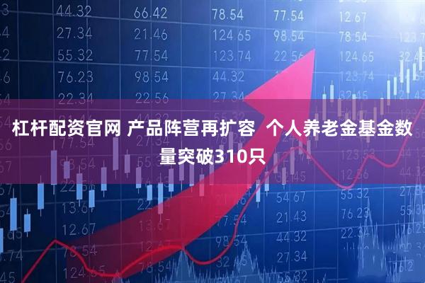 杠杆配资官网 产品阵营再扩容  个人养老金基金数量突破310只